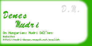 denes mudri business card